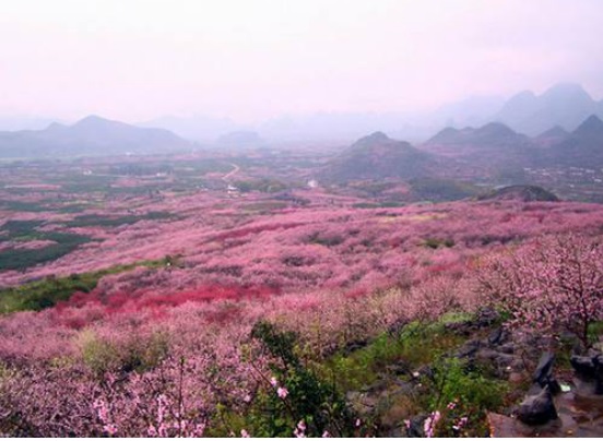 佰盛集团开发唐河湾湿地公园 雄安最美小镇呼之欲出