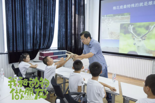 在黑龙江开启极地馆奇妙夜